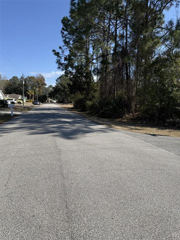 34 PIER LANE, Palm Coast, FL 32164