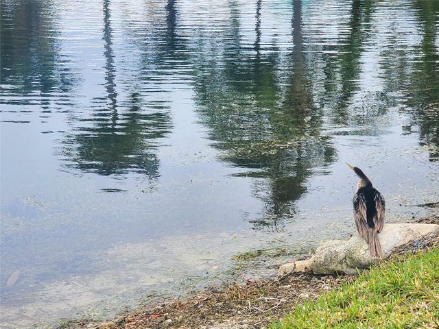 2223 Park Lane 105, Hollywood, FL 33021