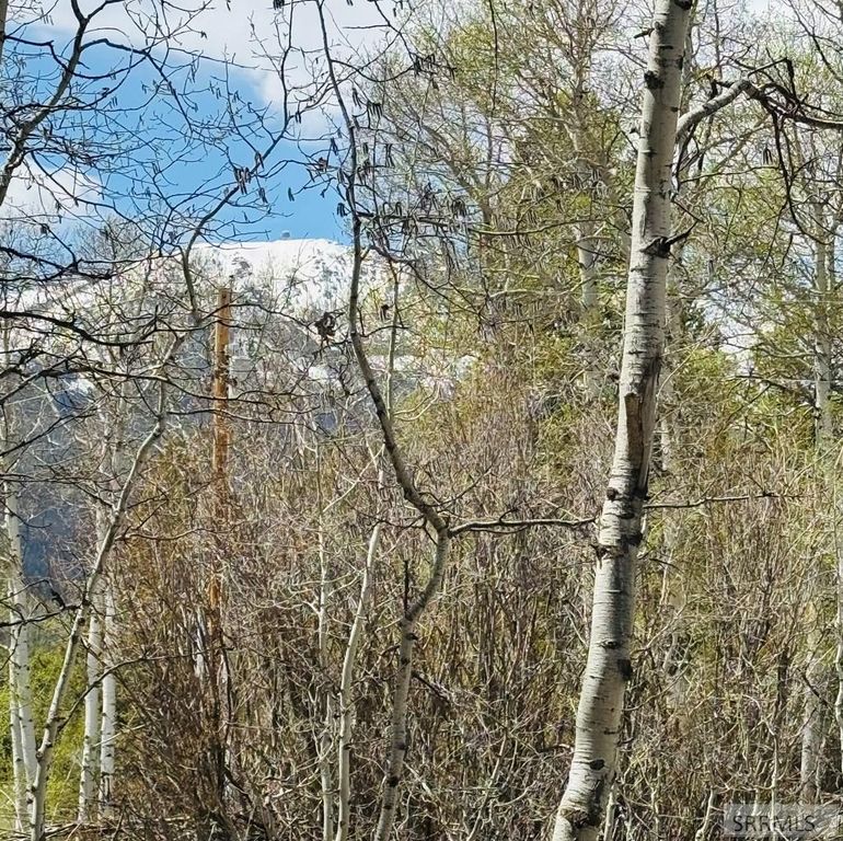 Image 17 of property listing at 4780 Fir Street, Island Park, ID 83429