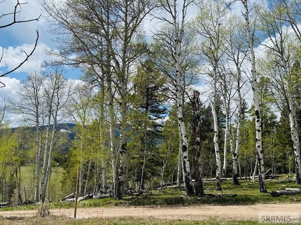Image 18 of property listing at 4780 Fir Street, Island Park, ID 83429