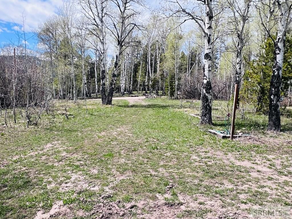 Image 19 of property listing at 4780 Fir Street, Island Park, ID 83429