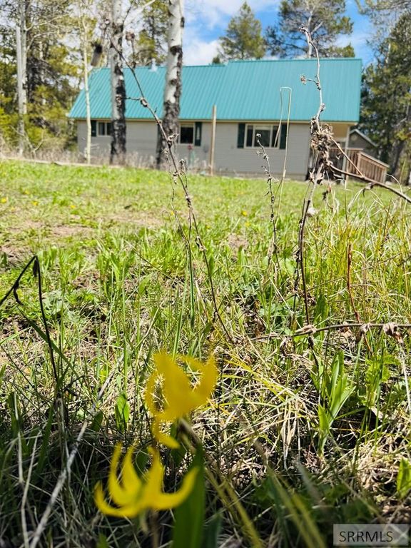 Image 5 of property listing at 4780 Fir Street, Island Park, ID 83429