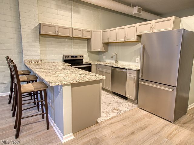 408 W Saint Clair Avenue 223, Cleveland, OH 44113