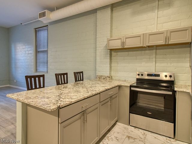 408 W Saint Clair Avenue 223, Cleveland, OH 44113