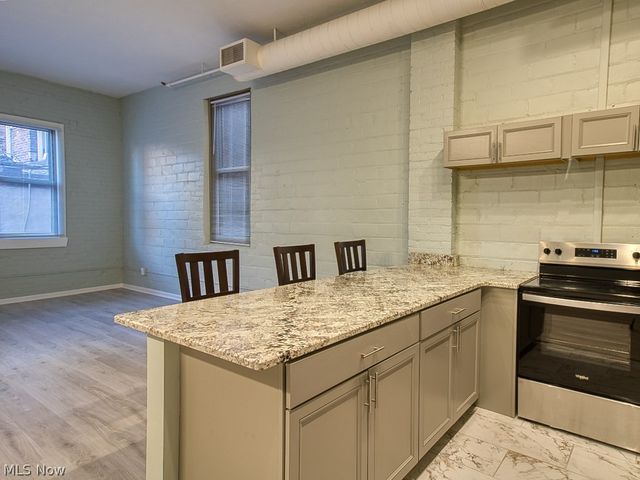 408 W Saint Clair Avenue 223, Cleveland, OH 44113