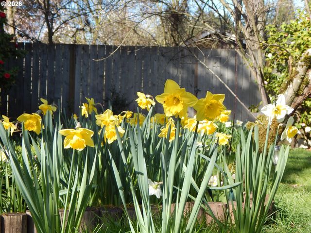 14085 Sw LINDA Ln, Beaverton, OR 97006