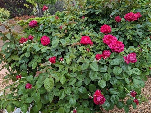 7608 Brianne Avenue NW, Albuquerque, NM 87114