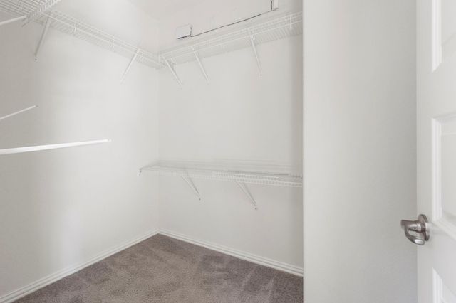 40342 Bay Warbler Way, Magnolia, TX 77354