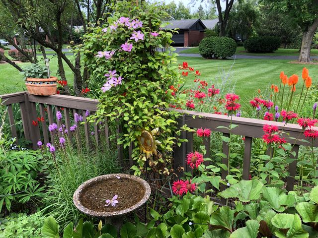 1275 Suncrest Drive Ne, Grand Rapids Twp, MI 49525