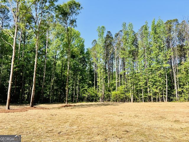 3341 E Hwy 16, Sharpsburg, GA 30277