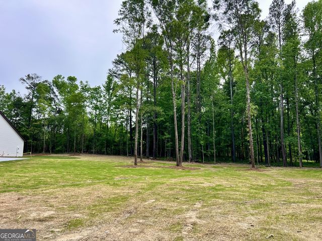 3341 E Hwy 16, Sharpsburg, GA 30277