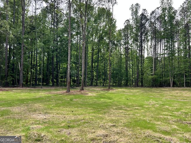 3341 E Hwy 16, Sharpsburg, GA 30277