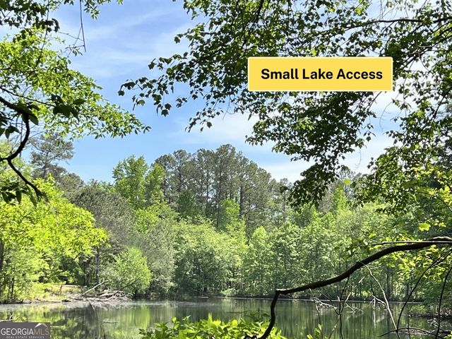 3341 E Hwy 16, Sharpsburg, GA 30277