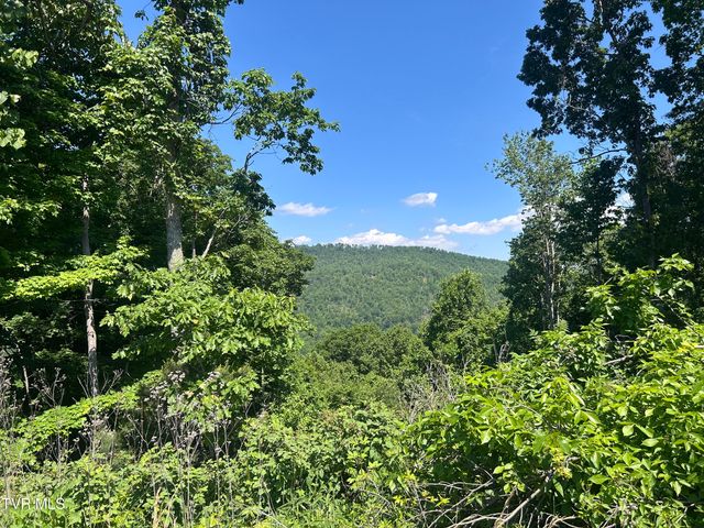 Lot 85 Summerfield Drive, Butler, TN 37640