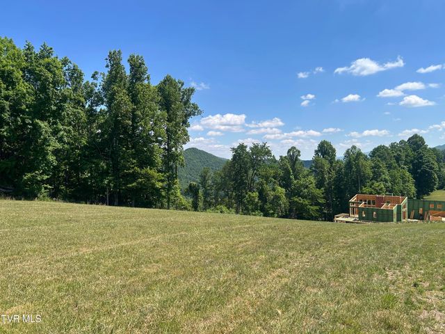 Lot 85 Summerfield Drive, Butler, TN 37640
