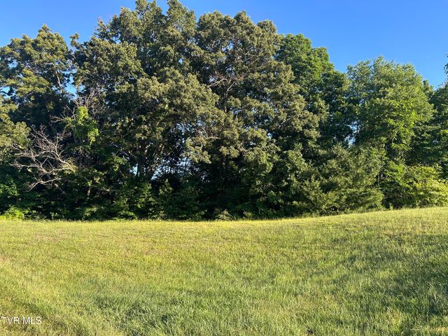Lot 85 Summerfield Drive, Butler, TN 37640