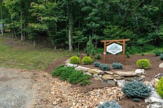 Lot 85 Summerfield Drive, Butler, TN 37640