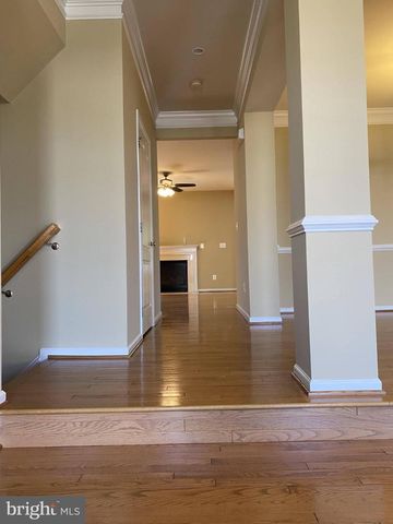 22560 SCATTERSVILLE TER, Ashburn, VA 20148