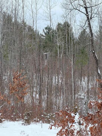 6595 Wickert Road, Hale, MI 48739