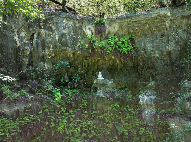 1 Shadybrook CV, Austin, TX 78746