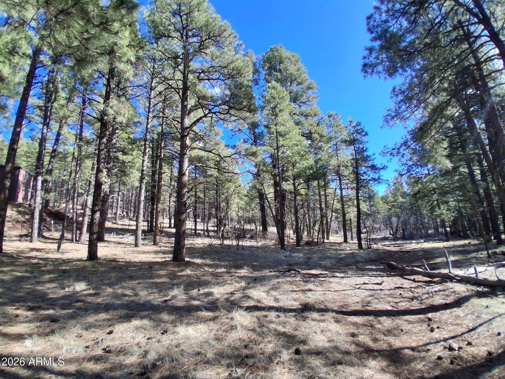 Image 1 of property listing at 13696 E KINGS DEER Road -, Parks, AZ 86018