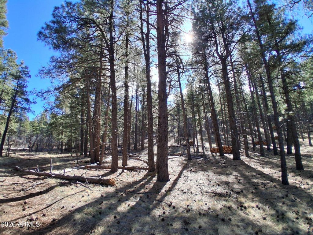 Image 10 of property listing at 13696 E KINGS DEER Road -, Parks, AZ 86018
