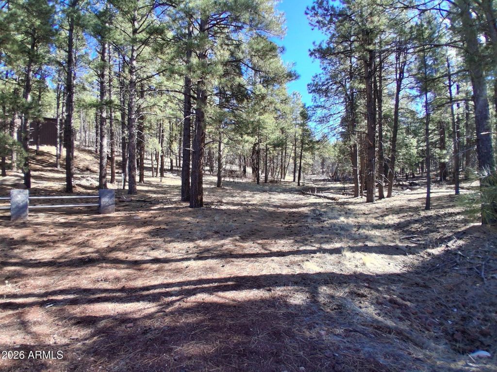 Image 11 of property listing at 13696 E KINGS DEER Road -, Parks, AZ 86018