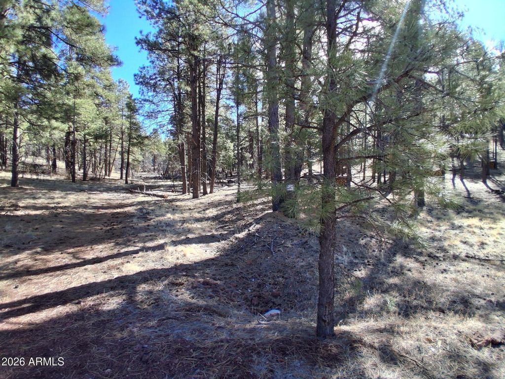 Image 12 of property listing at 13696 E KINGS DEER Road -, Parks, AZ 86018