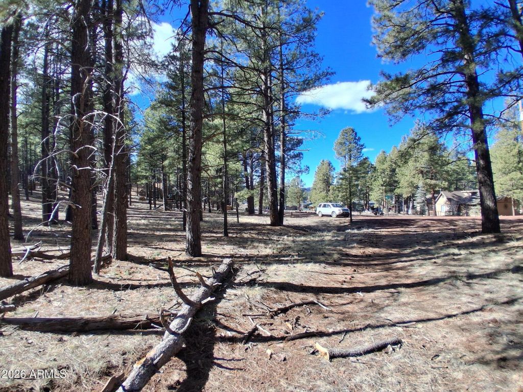 Image 13 of property listing at 13696 E KINGS DEER Road -, Parks, AZ 86018