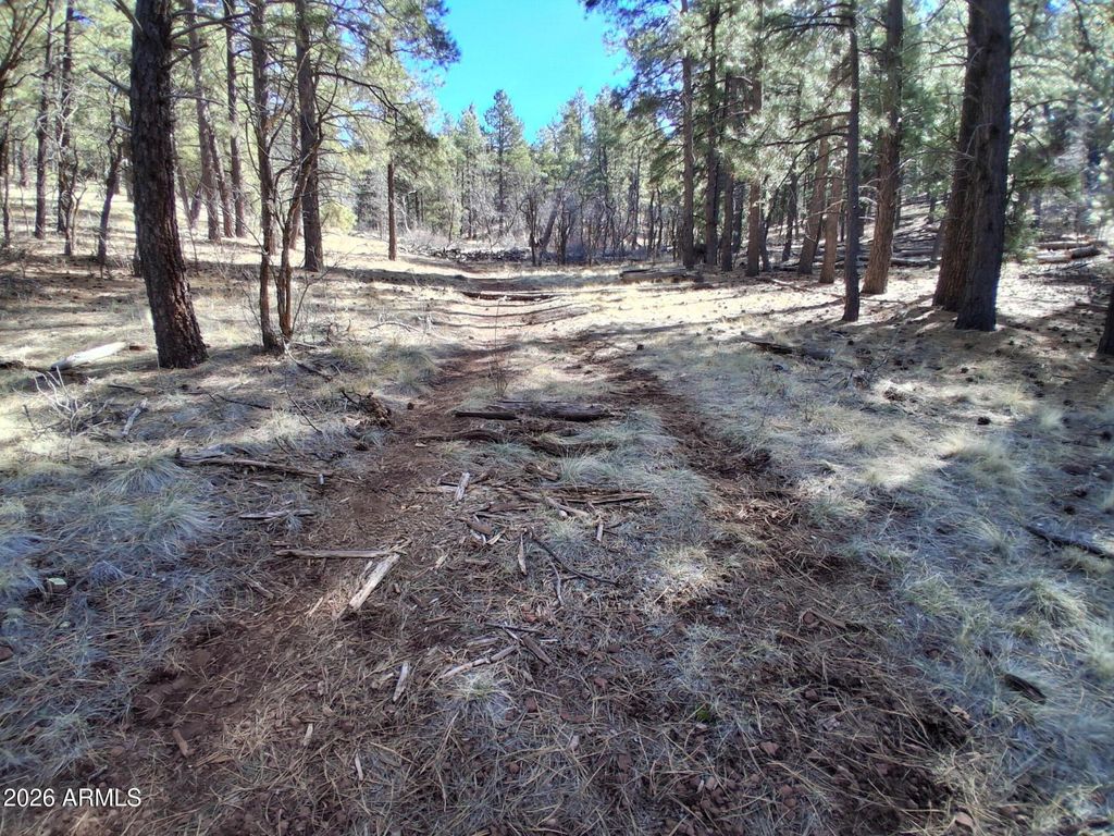 Image 14 of property listing at 13696 E KINGS DEER Road -, Parks, AZ 86018