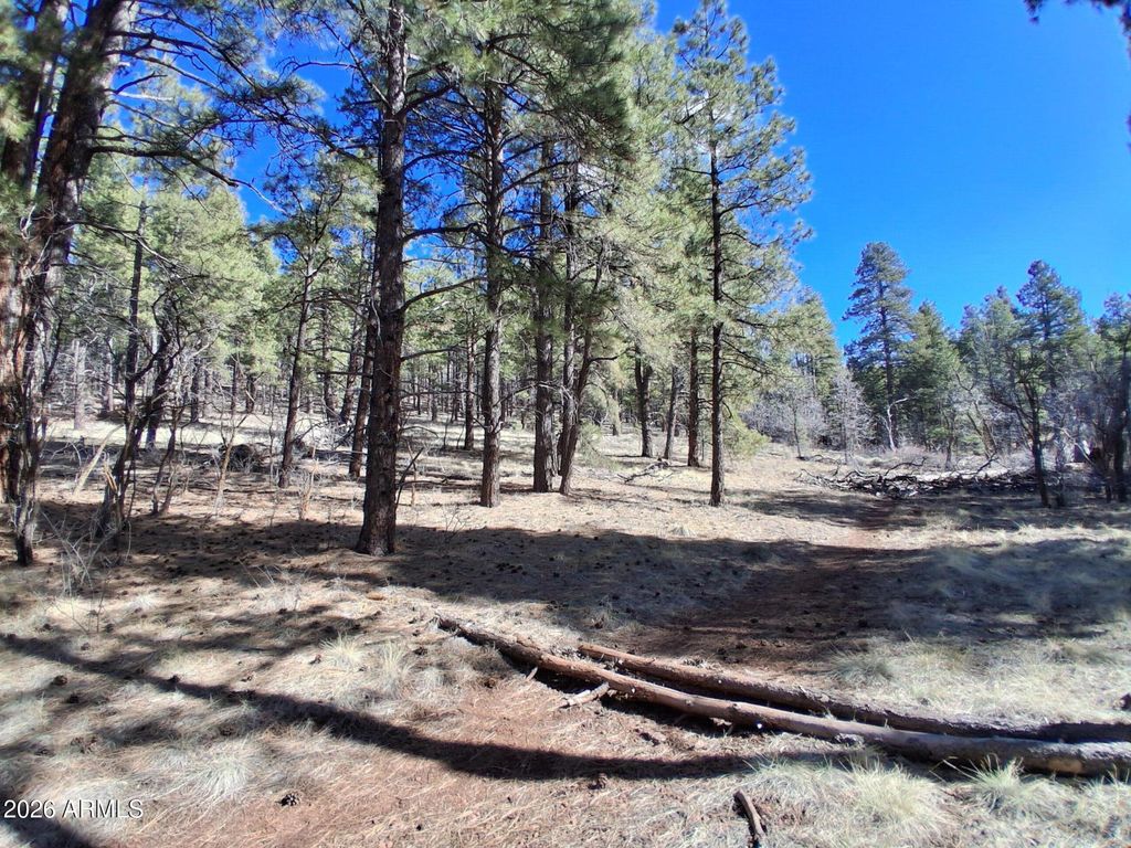 Image 15 of property listing at 13696 E KINGS DEER Road -, Parks, AZ 86018