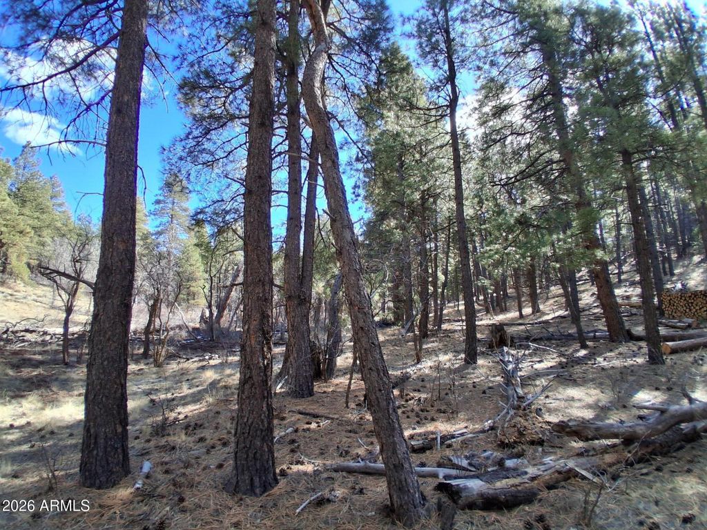 Image 16 of property listing at 13696 E KINGS DEER Road -, Parks, AZ 86018
