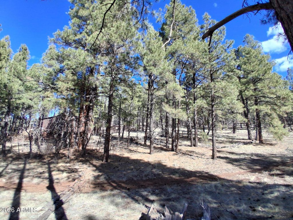 Image 17 of property listing at 13696 E KINGS DEER Road -, Parks, AZ 86018