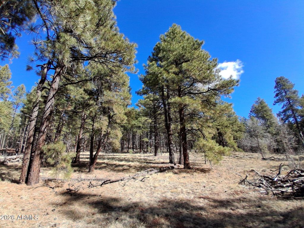 Image 18 of property listing at 13696 E KINGS DEER Road -, Parks, AZ 86018