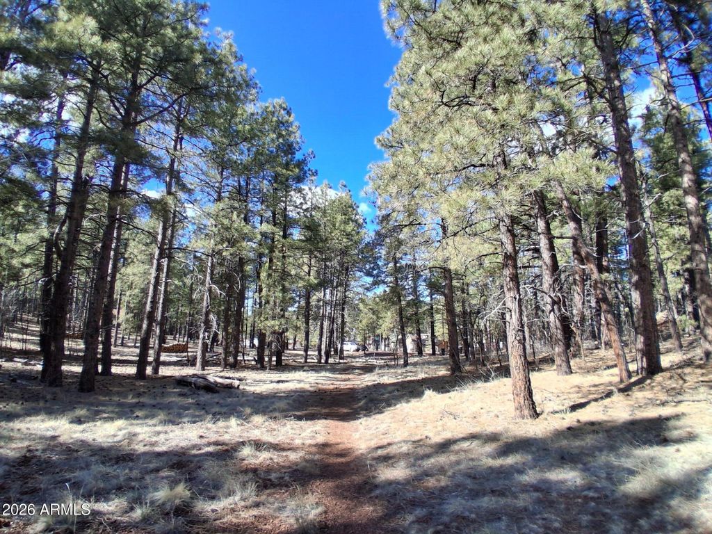 Image 19 of property listing at 13696 E KINGS DEER Road -, Parks, AZ 86018