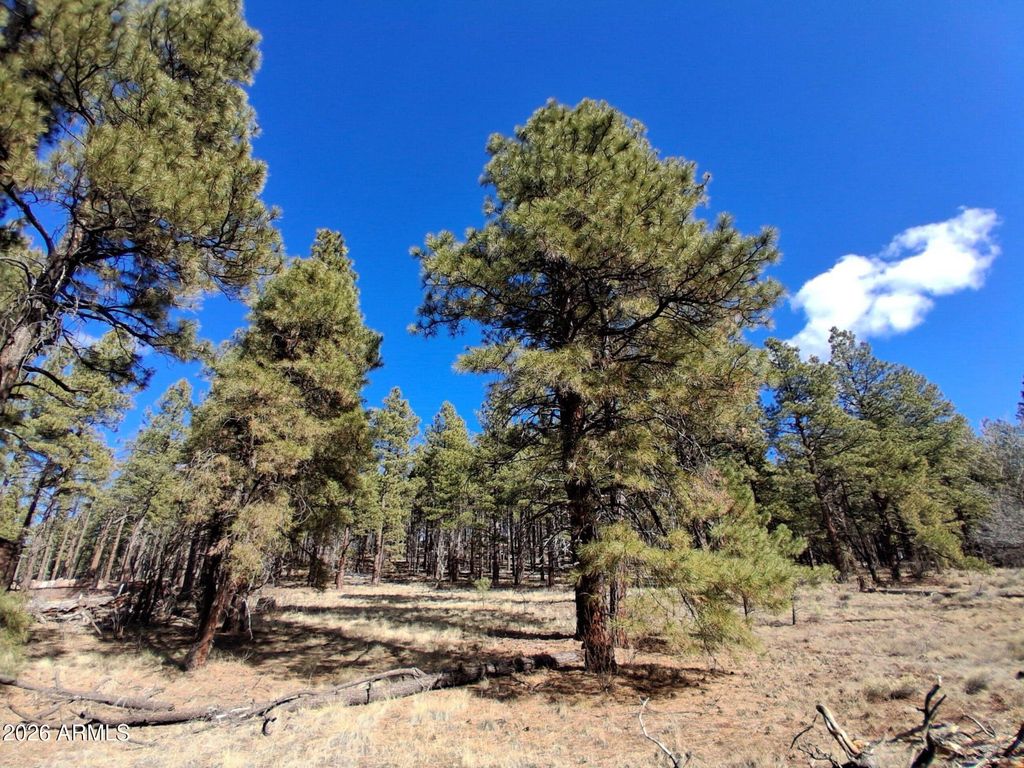 Image 20 of property listing at 13696 E KINGS DEER Road -, Parks, AZ 86018
