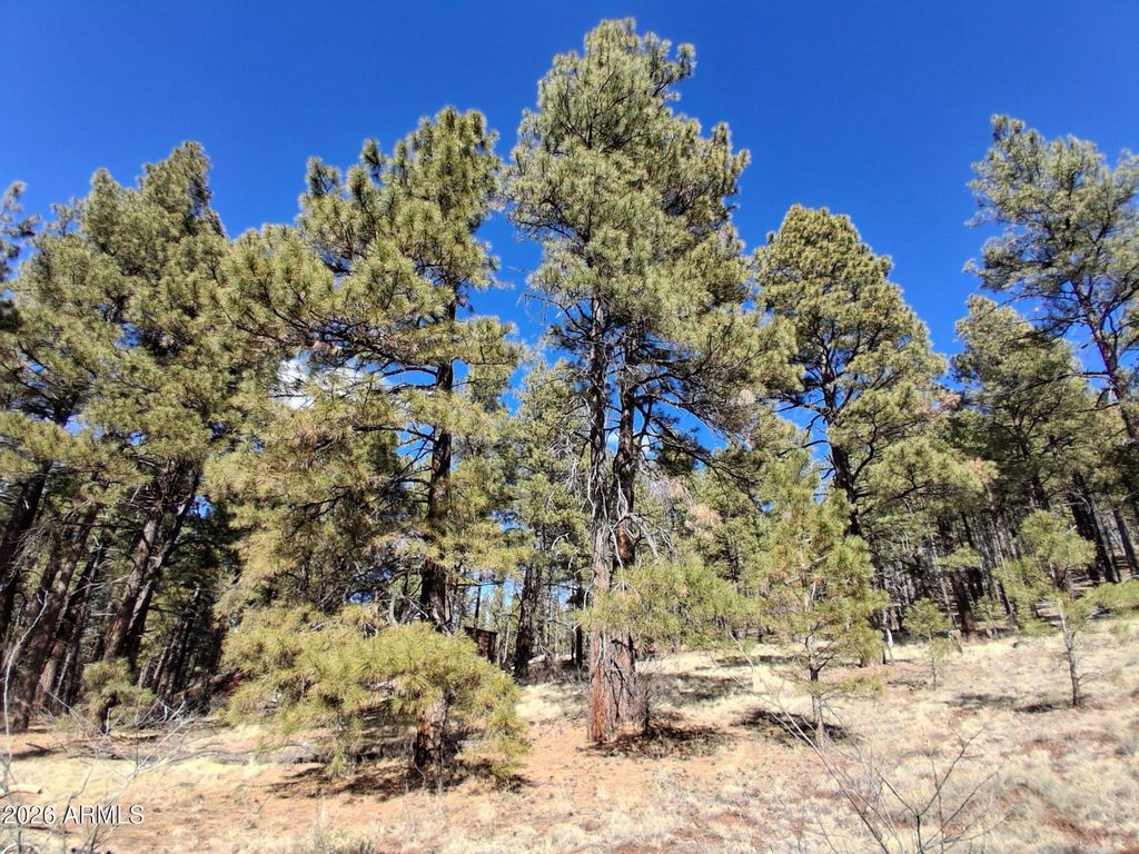 Image 21 of property listing at 13696 E KINGS DEER Road -, Parks, AZ 86018
