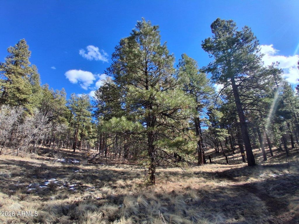 Image 23 of property listing at 13696 E KINGS DEER Road -, Parks, AZ 86018