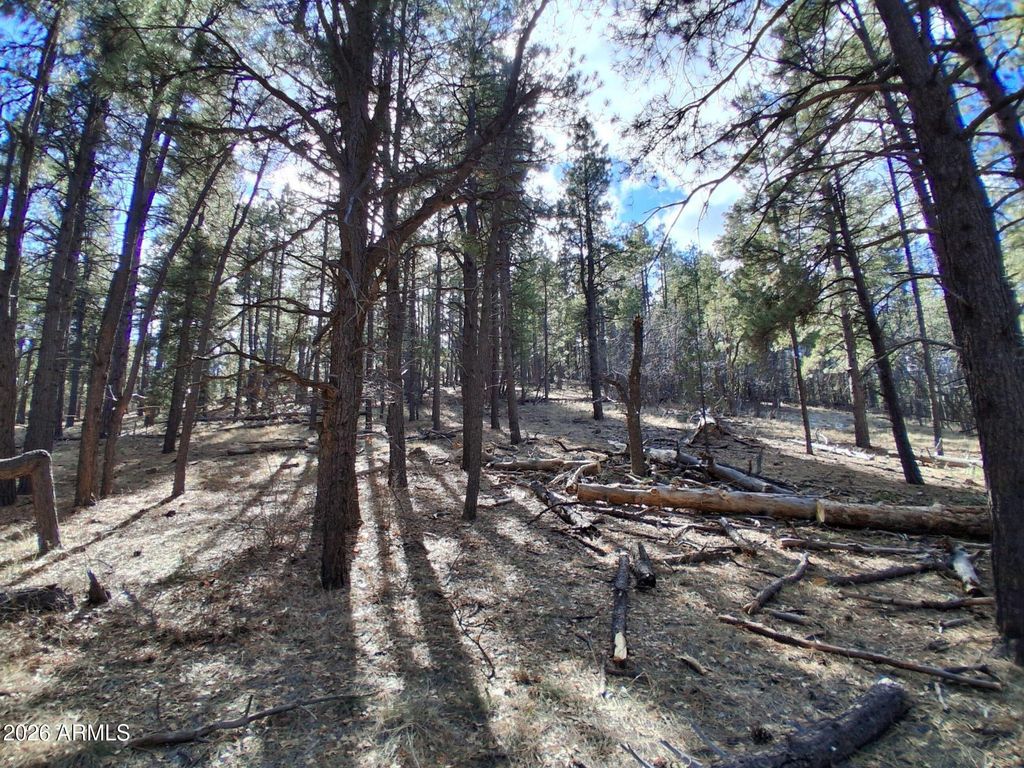 Image 25 of property listing at 13696 E KINGS DEER Road -, Parks, AZ 86018