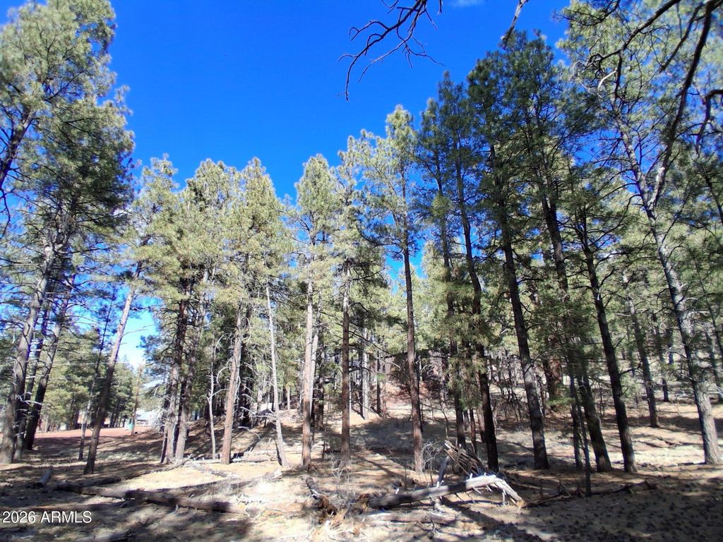 Image 26 of property listing at 13696 E KINGS DEER Road -, Parks, AZ 86018