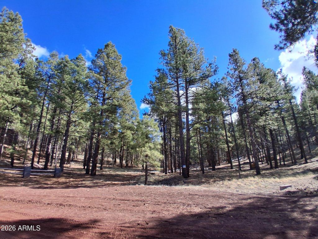 Image 28 of property listing at 13696 E KINGS DEER Road -, Parks, AZ 86018