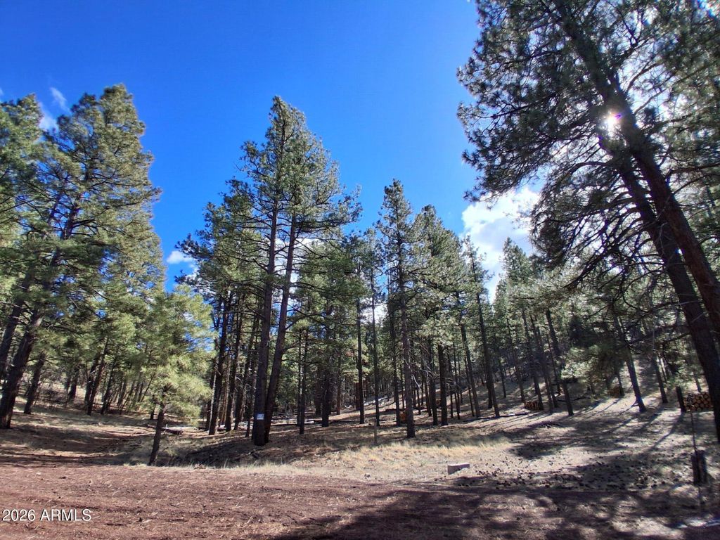 Image 29 of property listing at 13696 E KINGS DEER Road -, Parks, AZ 86018