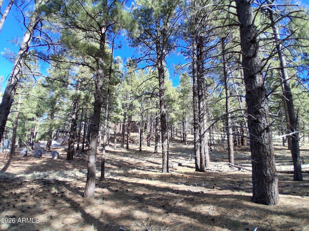 Image 30 of property listing at 13696 E KINGS DEER Road -, Parks, AZ 86018