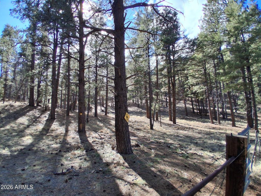 Image 31 of property listing at 13696 E KINGS DEER Road -, Parks, AZ 86018