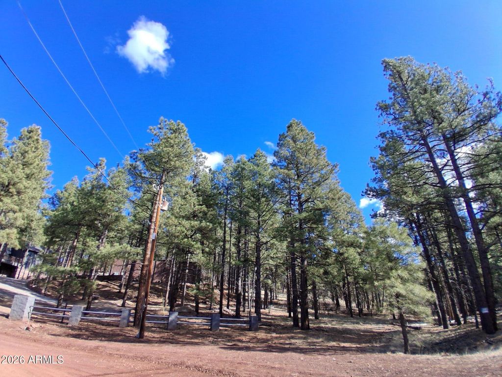 Image 8 of property listing at 13696 E KINGS DEER Road -, Parks, AZ 86018