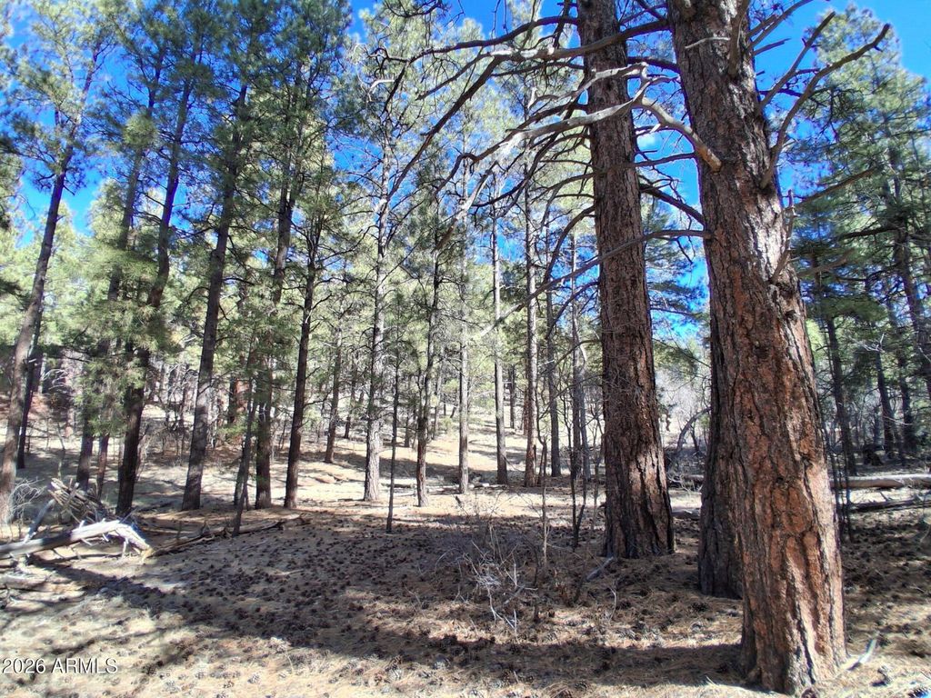 Image 9 of property listing at 13696 E KINGS DEER Road -, Parks, AZ 86018