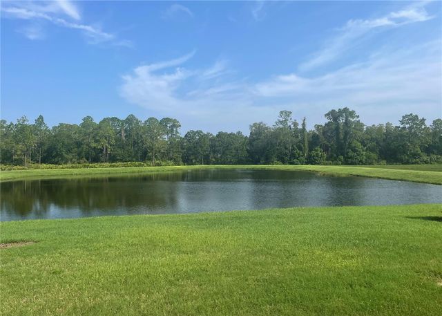 4239 WOODLAND RETREAT BOULEVARD, New Port Richey, FL 34655