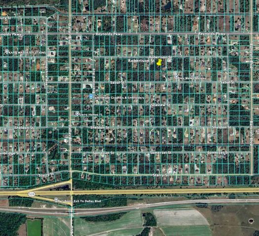 ROBERTSON STREET, Orlando, FL 32833