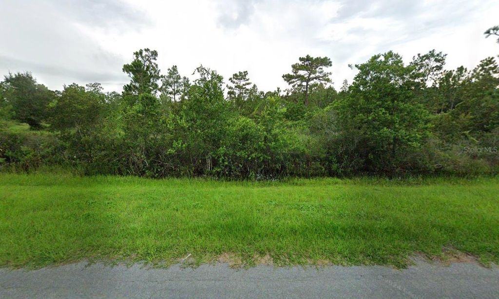 ROBERTSON STREET, Orlando, FL 32833