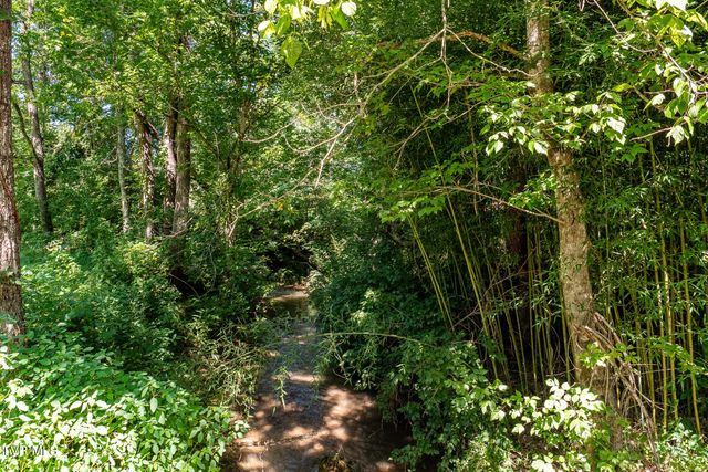 186 Oliver Edwards Road, Jonesborough, TN 37659